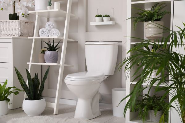 Cost of Toilet Repair in Miami