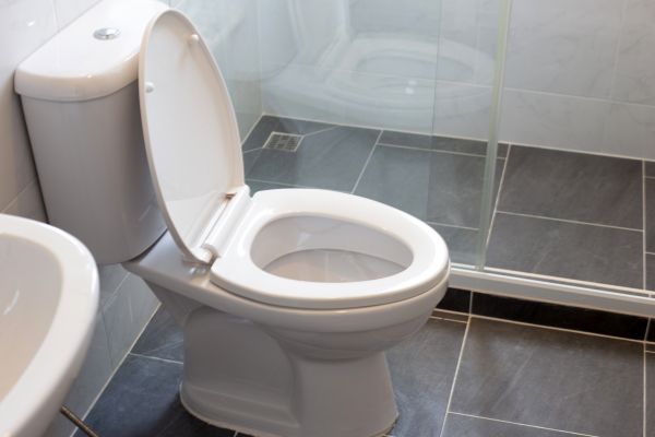 Cost of Toilet Replacement in Miami