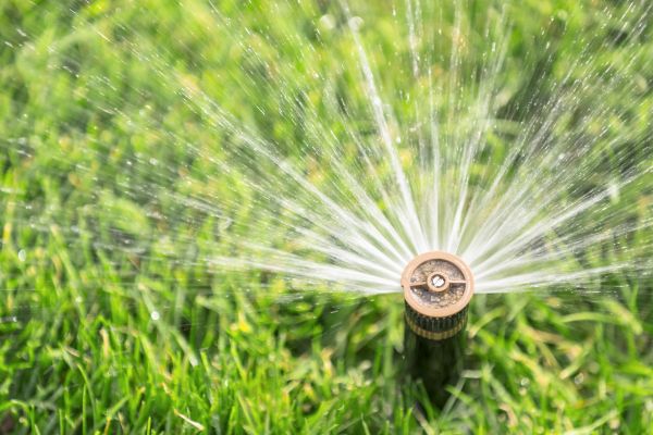 Cost of Spigot Installation in Miami